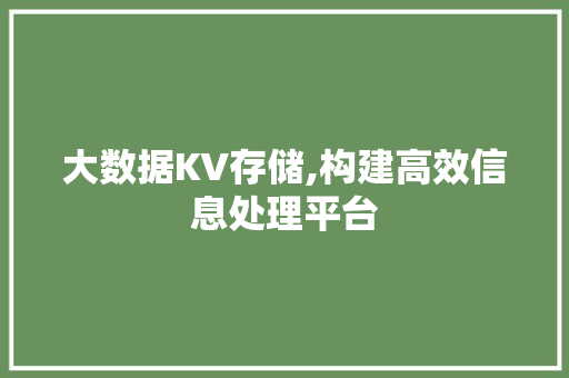 大数据KV存储,构建高效信息处理平台