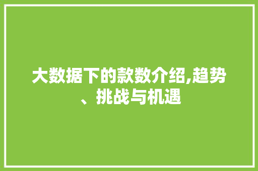 大数据下的款数介绍,趋势、挑战与机遇