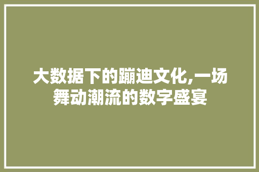 大数据下的蹦迪文化,一场舞动潮流的数字盛宴