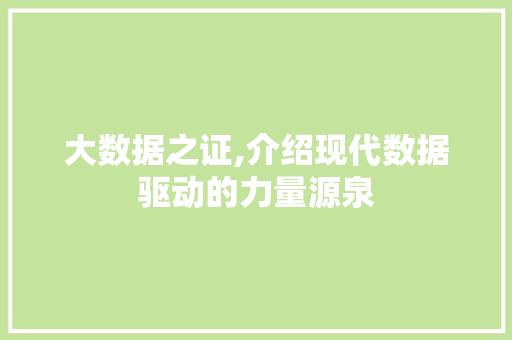 大数据之证,介绍现代数据驱动的力量源泉