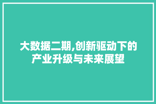 大数据二期,创新驱动下的产业升级与未来展望