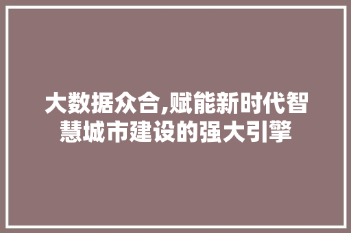 大数据众合,赋能新时代智慧城市建设的强大引擎