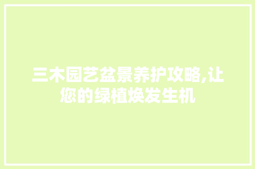 三木园艺盆景养护攻略,让您的绿植焕发生机 土壤施肥