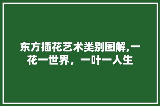 东方插花艺术类别图解,一花一世界，一叶一人生 植物种类