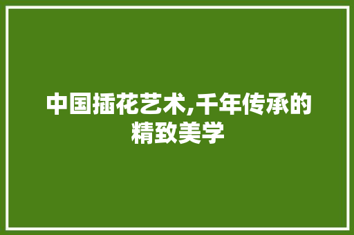 中国插花艺术,千年传承的精致美学