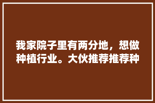 我家院子里有两分地，想做种植行业。大伙推荐推荐种植什么好呢？最好说蔬菜类型的_蔬菜种植搭配技巧有哪些呢 我家院子里有两分地，想做种植行业。大伙推荐推荐种植什么好呢？最好说蔬菜类型的_蔬菜种植搭配技巧有哪些呢 种植技巧