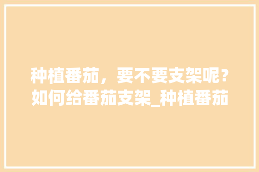 种植番茄，要不要支架呢？如何给番茄支架_种植番茄怎么搭支架好看