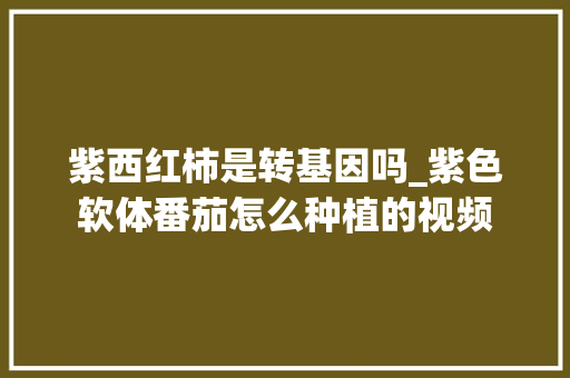 紫西红柿是转基因吗_紫色软体番茄怎么种植的视频
