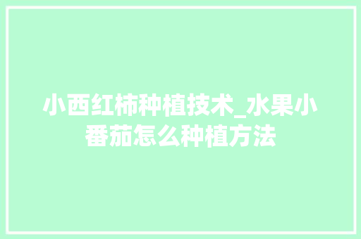 小西红柿种植技术_水果小番茄怎么种植方法