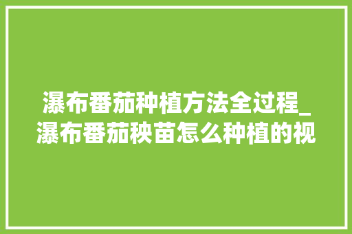 瀑布番茄种植方法全过程_瀑布番茄秧苗怎么种植的视频