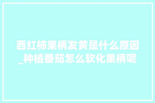 西红柿果柄发黄是什么原因_种植番茄怎么软化果柄呢
