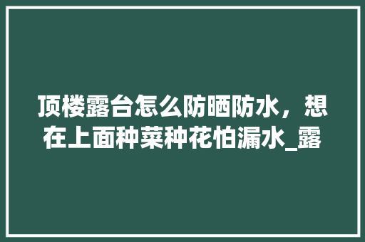 顶楼露台怎么防晒防水，想在上面种菜种花怕漏水_露台蔬菜种植技巧视频
