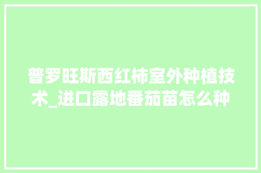 普罗旺斯西红柿室外种植技术_进口露地番茄苗怎么种植视频