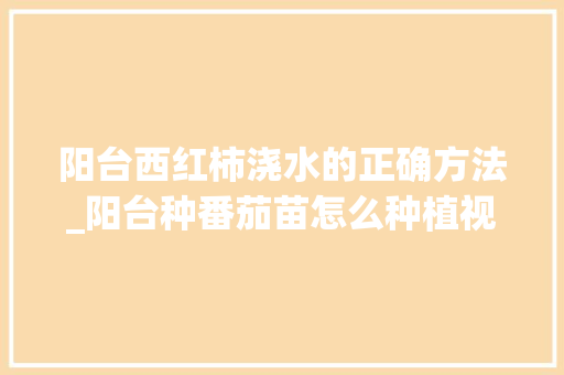 阳台西红柿浇水的正确方法_阳台种番茄苗怎么种植视频