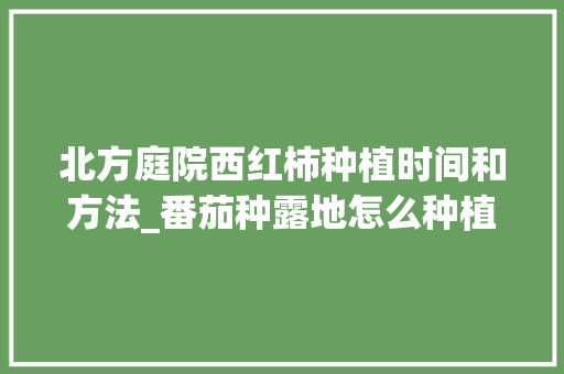 北方庭院西红柿种植时间和方法_番茄种露地怎么种植的视频