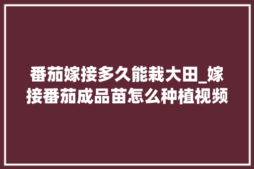 番茄嫁接多久能栽大田_嫁接番茄成品苗怎么种植视频 番茄嫁接多久能栽大田_嫁接番茄成品苗怎么种植视频 土壤施肥