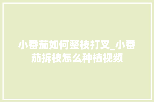 小番茄如何整枝打叉_小番茄拆枝怎么种植视频