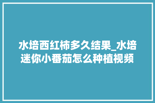 水培西红柿多久结果_水培迷你小番茄怎么种植视频