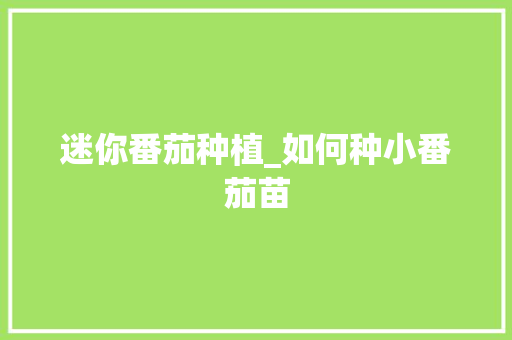 迷你番茄种植_如何种小番茄苗 迷你番茄种植_如何种小番茄苗 番茄种植技巧