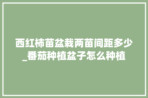 西红柿苗盆栽两苗间距多少_番茄种植盆子怎么种植