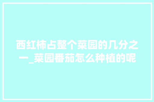 西红柿占整个菜园的几分之一_菜园番茄怎么种植的呢视频