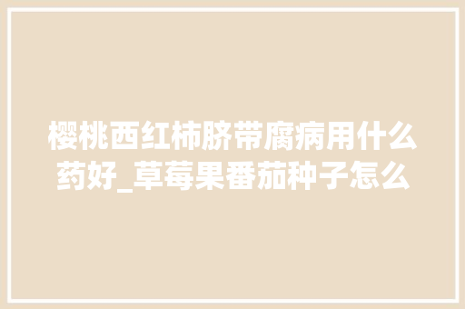 樱桃西红柿脐带腐病用什么药好_草莓果番茄种子怎么种植视频 樱桃西红柿脐带腐病用什么药好_草莓果番茄种子怎么种植视频 番茄种植技巧
