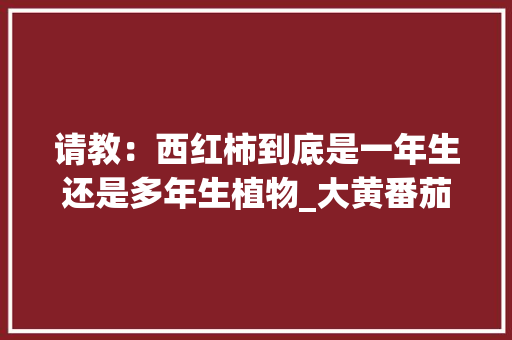 请教：西红柿到底是一年生还是多年生植物_大黄番茄怎么种植技术视频