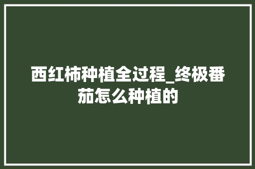 西红柿种植全过程_终极番茄怎么种植的