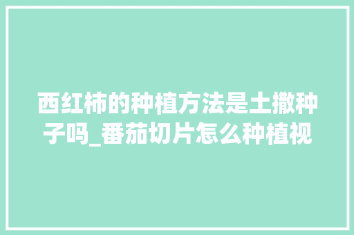 西红柿的种植方法是土撒种子吗_番茄切片怎么种植视频 西红柿的种植方法是土撒种子吗_番茄切片怎么种植视频 番茄种植技巧