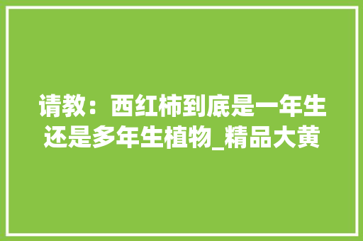 请教：西红柿到底是一年生还是多年生植物_精品大黄番茄怎么种植的呢 请教：西红柿到底是一年生还是多年生植物_精品大黄番茄怎么种植的呢 种植技巧