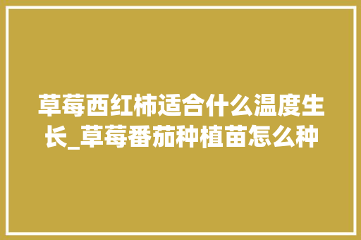 草莓西红柿适合什么温度生长_草莓番茄种植苗怎么种植视频