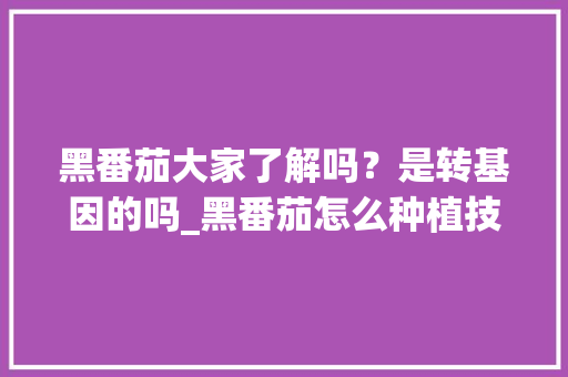 黑番茄大家了解吗？是转基因的吗_黑番茄怎么种植技术与管理 黑番茄大家了解吗？是转基因的吗_黑番茄怎么种植技术与管理 番茄病虫害防治