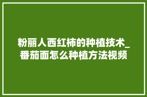 粉丽人西红柿的种植技术_番茄面怎么种植方法视频 粉丽人西红柿的种植技术_番茄面怎么种植方法视频 种植技巧