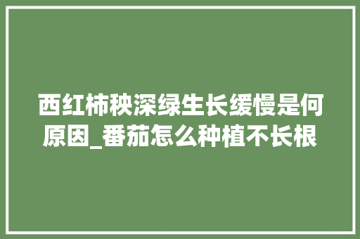 西红柿秧深绿生长缓慢是何原因_番茄怎么种植不长根 农业常识 西红柿秧深绿生长缓慢是何原因_番茄怎么种植不长根 西红柿秧深绿生长缓慢是何原因_番茄怎么种植不长根 农业常识