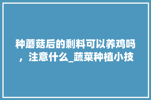 种蘑菇后的剩料可以养鸡吗，注意什么_蔬菜种植小技巧蘑菇视频教程