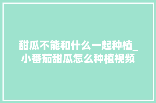 甜瓜不能和什么一起种植_小番茄甜瓜怎么种植视频