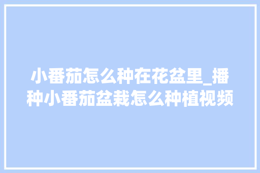 小番茄怎么种在花盆里_播种小番茄盆栽怎么种植视频 土壤施肥 小番茄怎么种在花盆里_播种小番茄盆栽怎么种植视频 小番茄怎么种在花盆里_播种小番茄盆栽怎么种植视频 土壤施肥