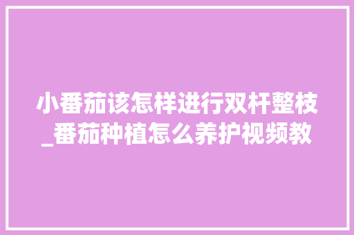 小番茄该怎样进行双杆整枝_番茄种植怎么养护视频教程