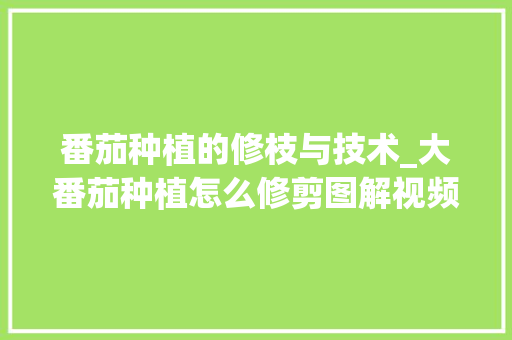 番茄种植的修枝与技术_大番茄种植怎么修剪图解视频