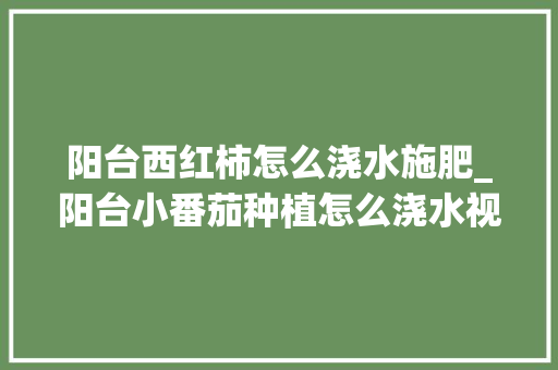 阳台西红柿怎么浇水施肥_阳台小番茄种植怎么浇水视频 阳台西红柿怎么浇水施肥_阳台小番茄种植怎么浇水视频 土壤施肥