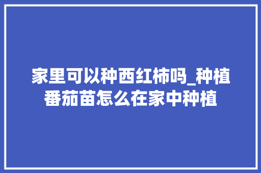家里可以种西红柿吗_种植番茄苗怎么在家中种植