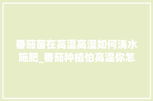 番茄苗在高温高湿如何浇水施肥_番茄种植怕高温你怎么办呢 番茄苗在高温高湿如何浇水施肥_番茄种植怕高温你怎么办呢 土壤施肥