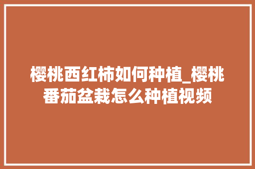 樱桃西红柿如何种植_樱桃番茄盆栽怎么种植视频