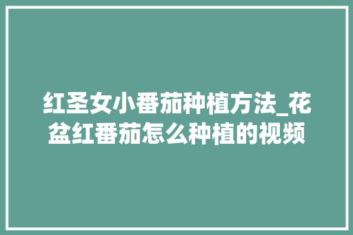 红圣女小番茄种植方法_花盆红番茄怎么种植的视频 红圣女小番茄种植方法_花盆红番茄怎么种植的视频 番茄病虫害防治