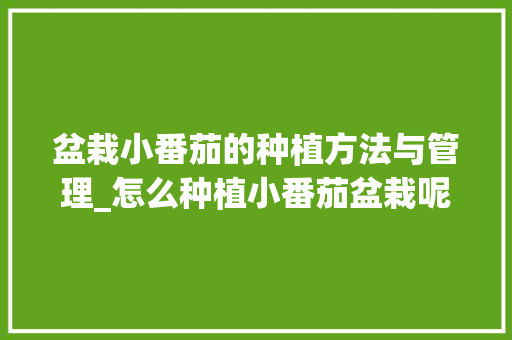 盆栽小番茄的种植方法与管理_怎么种植小番茄盆栽呢视频