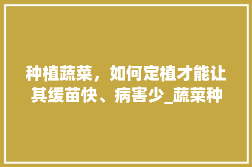 种植蔬菜，如何定植才能让其缓苗快、病害少_蔬菜种植小技巧家居图片大全