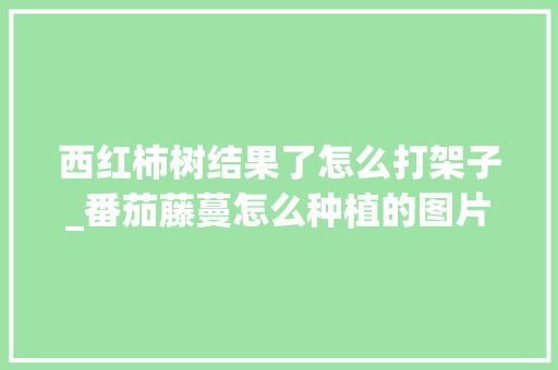 西红柿树结果了怎么打架子_番茄藤蔓怎么种植的图片大全 西红柿树结果了怎么打架子_番茄藤蔓怎么种植的图片大全 番茄病虫害防治