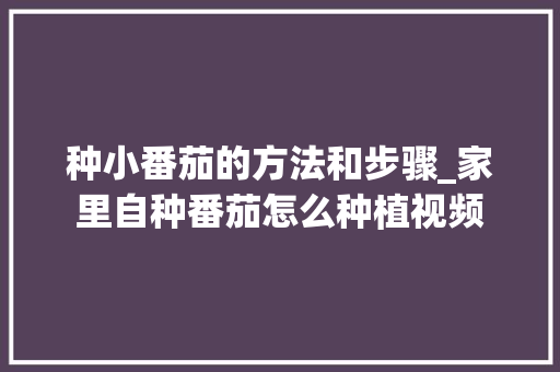 种小番茄的方法和步骤_家里自种番茄怎么种植视频