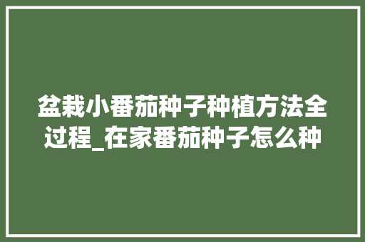 盆栽小番茄种子种植方法全过程_在家番茄种子怎么种植视频 盆栽小番茄种子种植方法全过程_在家番茄种子怎么种植视频 农业常识