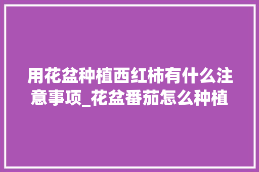 用花盆种植西红柿有什么注意事项_花盆番茄怎么种植视频 用花盆种植西红柿有什么注意事项_花盆番茄怎么种植视频 土壤施肥